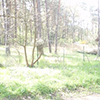 Geplante Bauvorhaben